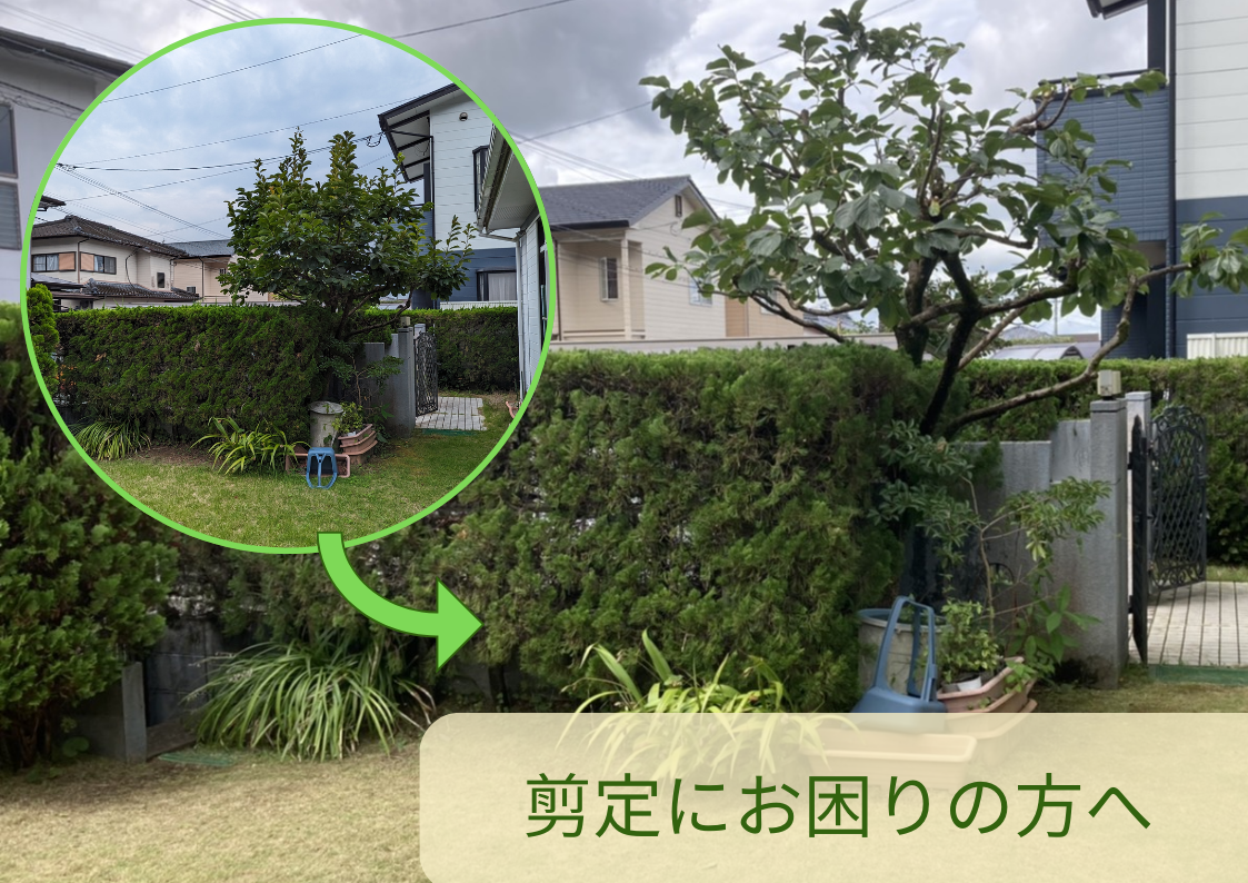 剪定もお任せください